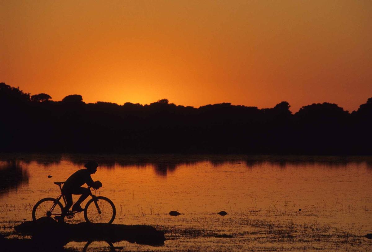 Parco della Giara: l’altopiano dei cavalli selvaggi e degli alberi bandiera