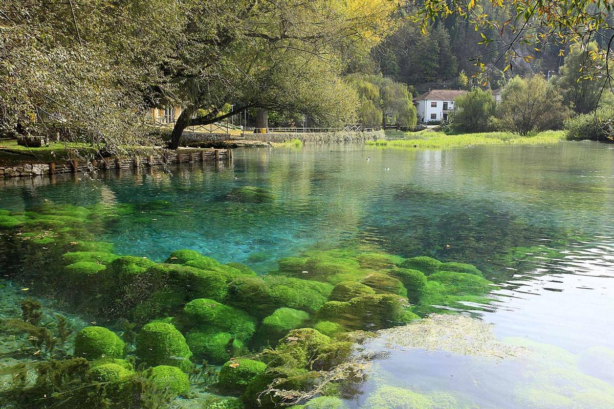 Posta Fibreno: lo specchio d’acqua dall'isola galleggiante Posta Fibreno: lo specchio d’acqua dall'isola galleggiante