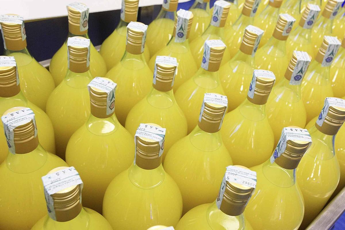 Sarandrea: l'alchimia delle erbe tra i Monti Ernici