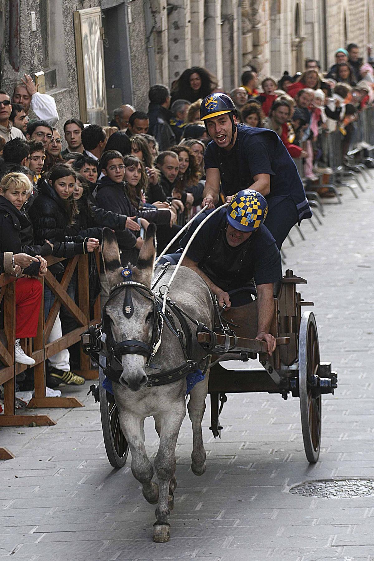 I Giochi de le Porte: il palio dei somari tra le pietre di Gualdo Tadino