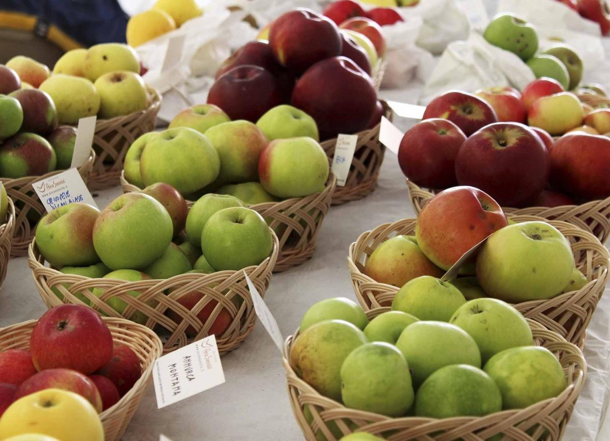Festa della Mela: l’orgoglio biologico di Castel del Giudice