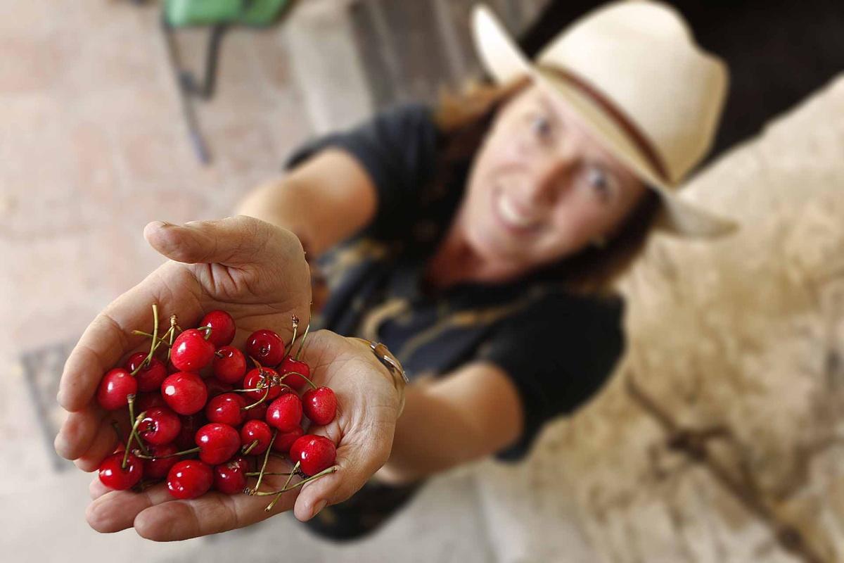  Archeologia Arborea: il santuario della biodiversità fruttifera