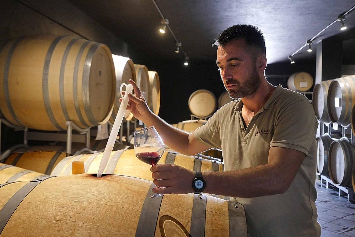 Tenuta Olianas a Gergei - l'integrità del Sarcidano in anfora Tenuta Olianas a Gergei - l'integrità del Sarcidano in anfora