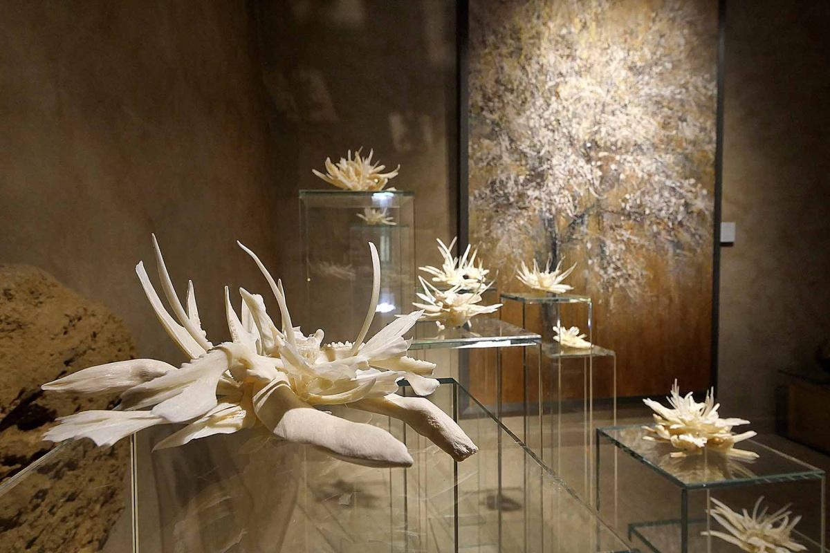 Kalpa Art Living - l’arte contemporanea a Palazzo Bonomini
