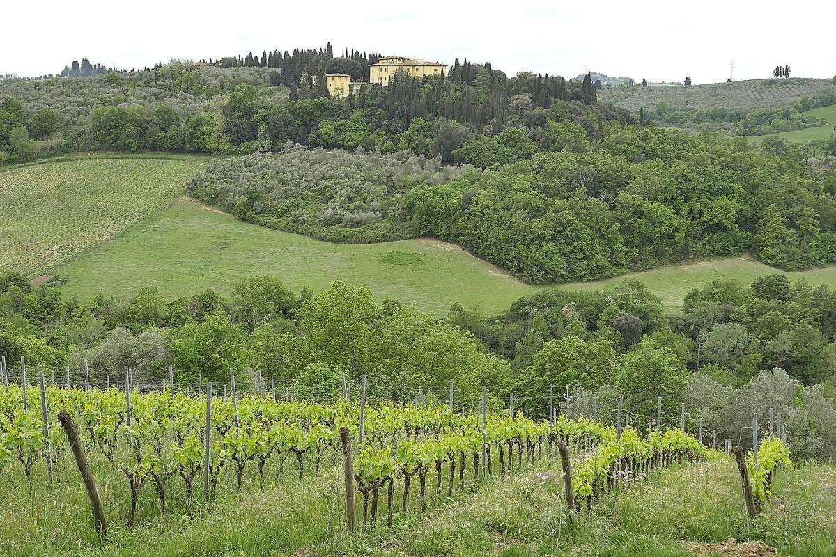 Un sogno, il paesaggio umano e il Buccia di Rospo