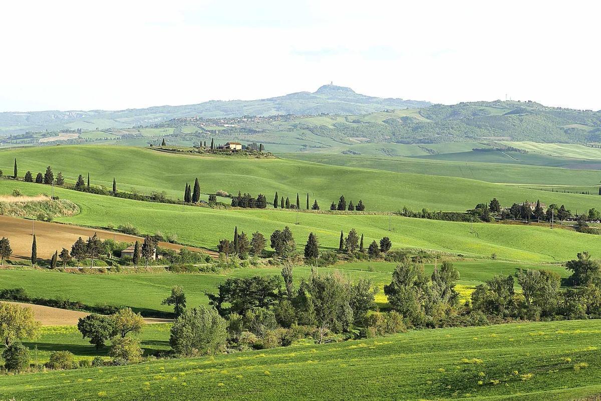 Agricola Casa Gori: l'equilibrio tra luppolo e vite a Pienza Agricola Casa Gori: l'equilibrio tra luppolo e vite a Pienza