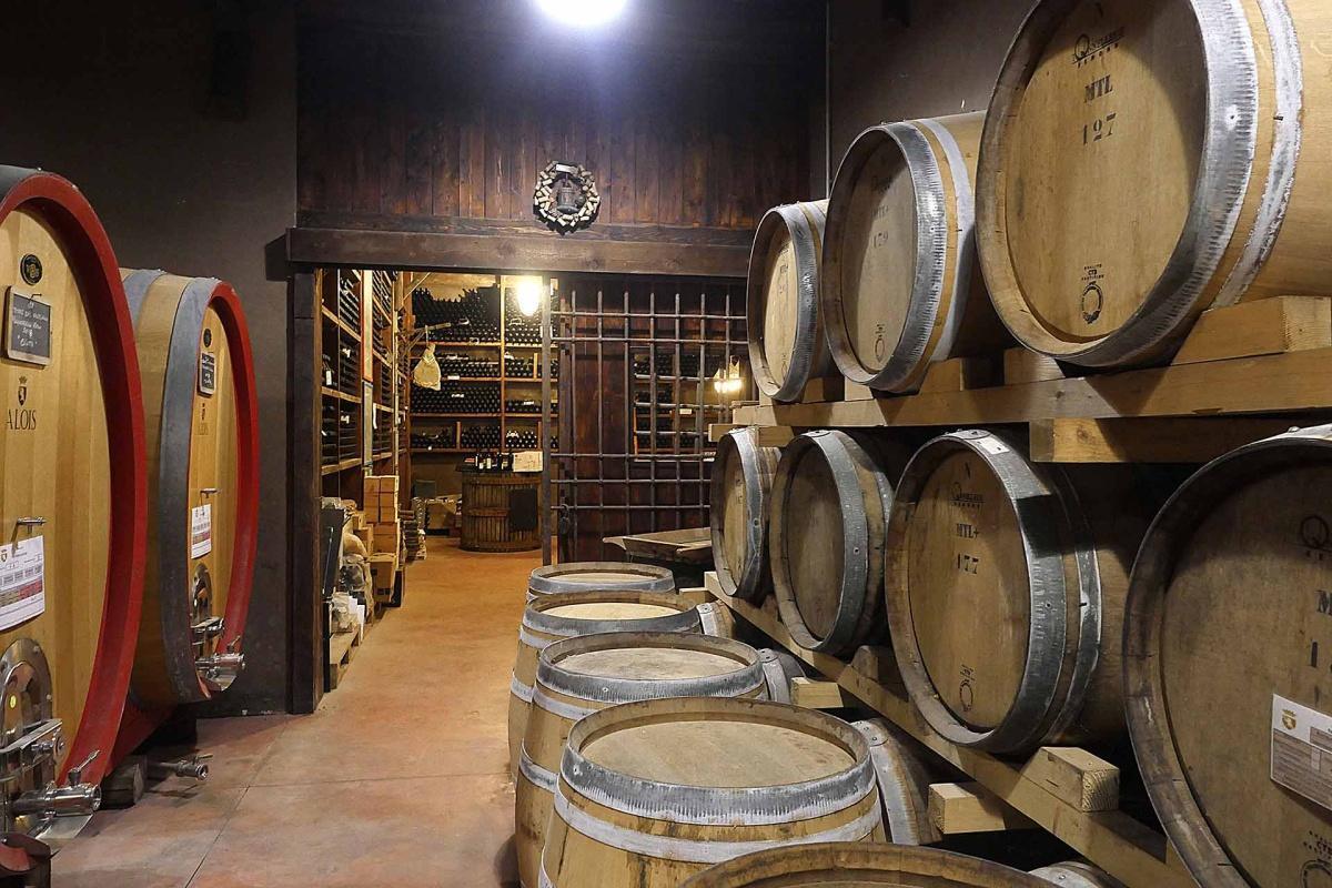 Cantine Alois - la riscoperta dei vitigni borbonici a Pontelatone Cantine Alois - la riscoperta dei vitigni borbonici a Pontelatone