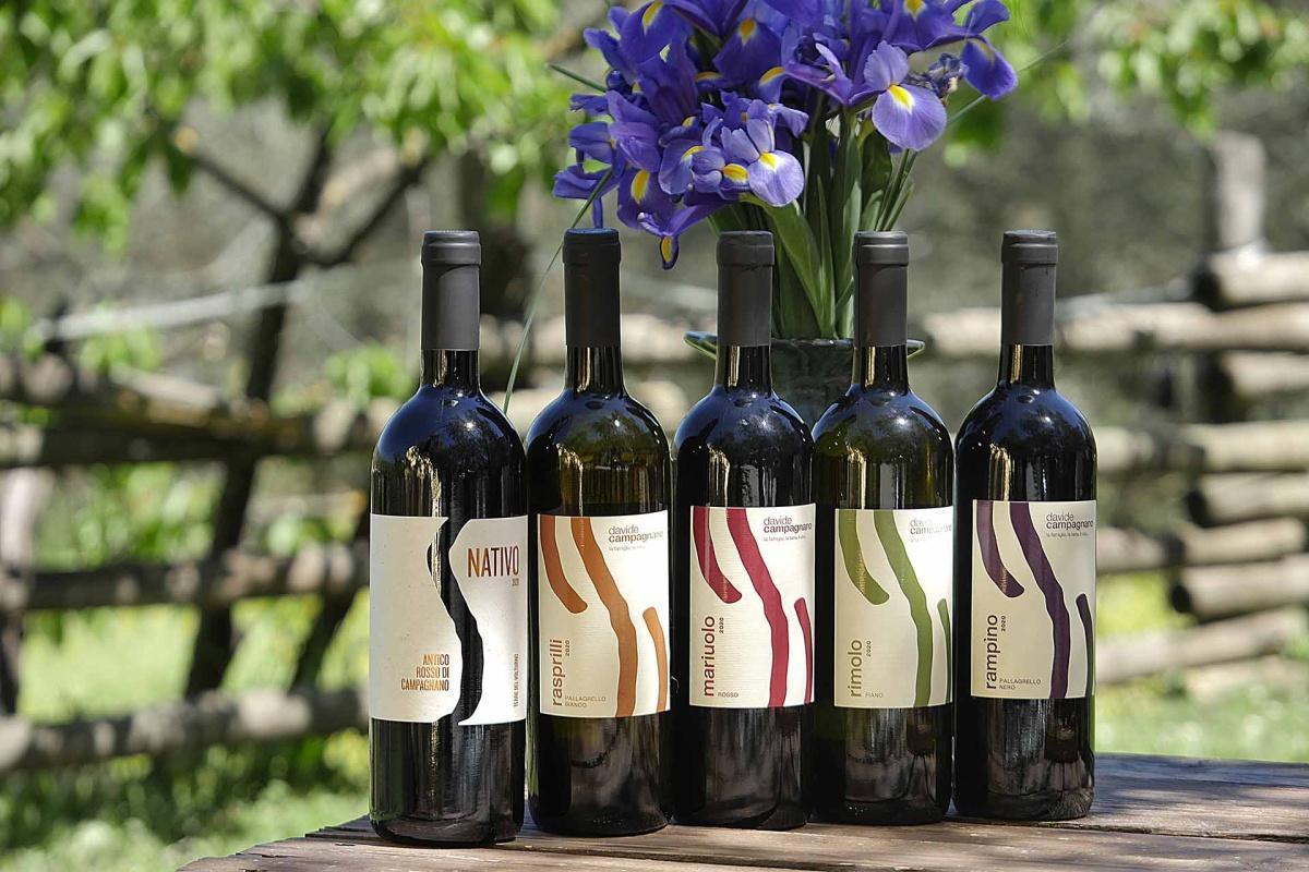 Davide Campagnano - il vino che custodisce l'anima del Volturno