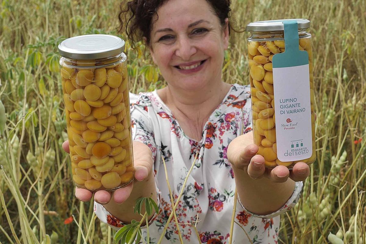 Masseria Del Sesto - la custodia dei semi antichi a Pietravairano