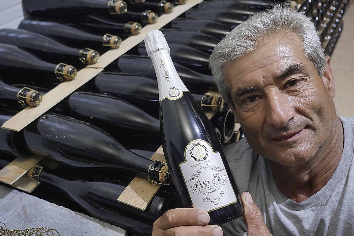 Masseria Piccirillo - l'evoluzione del Pallagrello a Caiazzo
