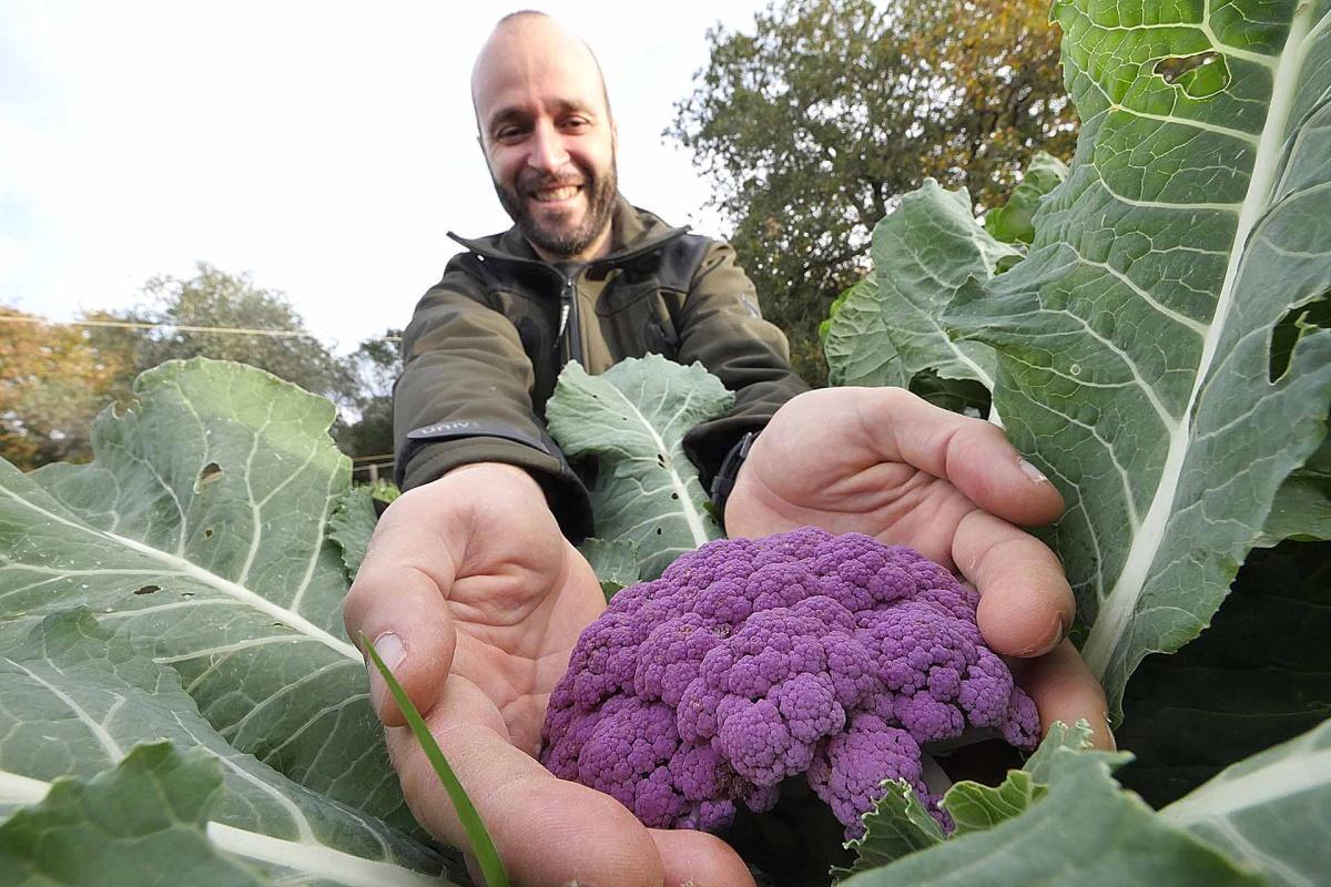 Poggio Diavolino – laboratorio di biodiversità 