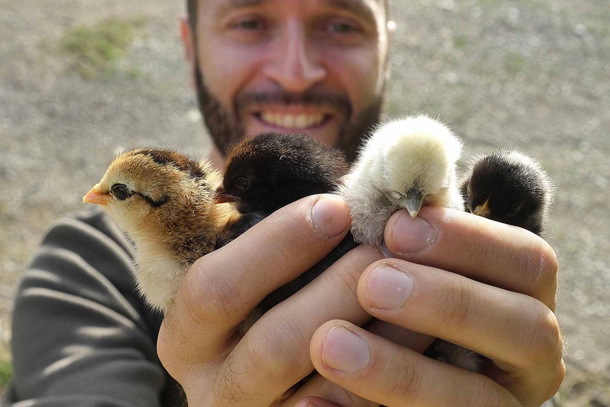 Poggio Diavolino – laboratorio di biodiversità 
