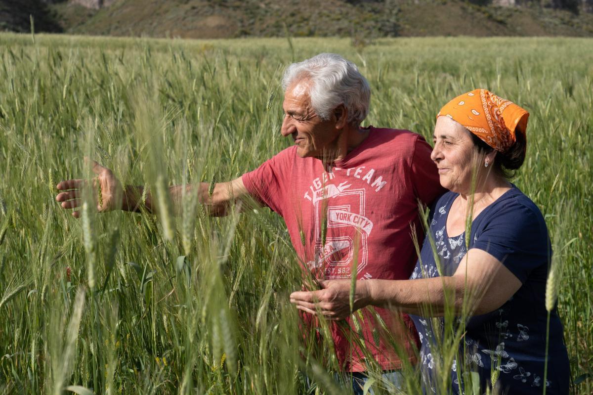 Azienda Agricola Mandarano – Grani e capperi coltivati a Lipari Azienda Agricola Mandarano – Grani e capperi coltivati a Lipari