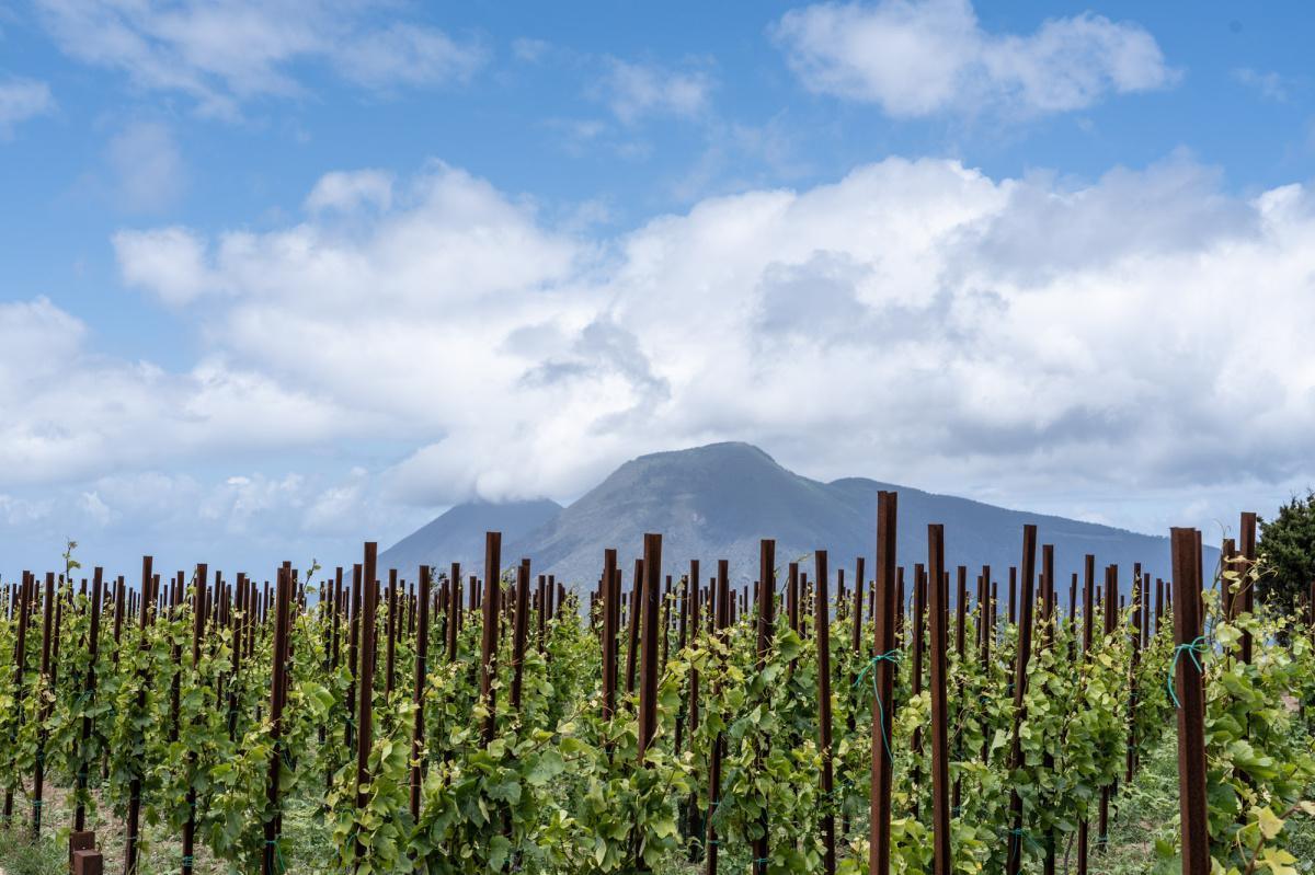 Tenuta di Castellaro – Vigne vulcaniche e tramonti sopra Lipari Tenuta di Castellaro – Vigne vulcaniche e tramonti sopra Lipari