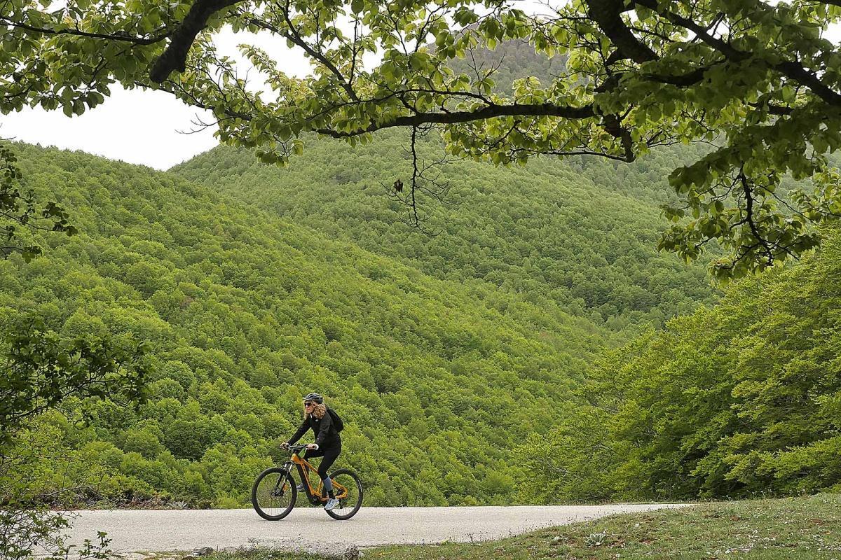 Il respiro selvaggio del Pollino: viaggio nel Sud intatto Il respiro selvaggio del Pollino: viaggio nel Sud intatto