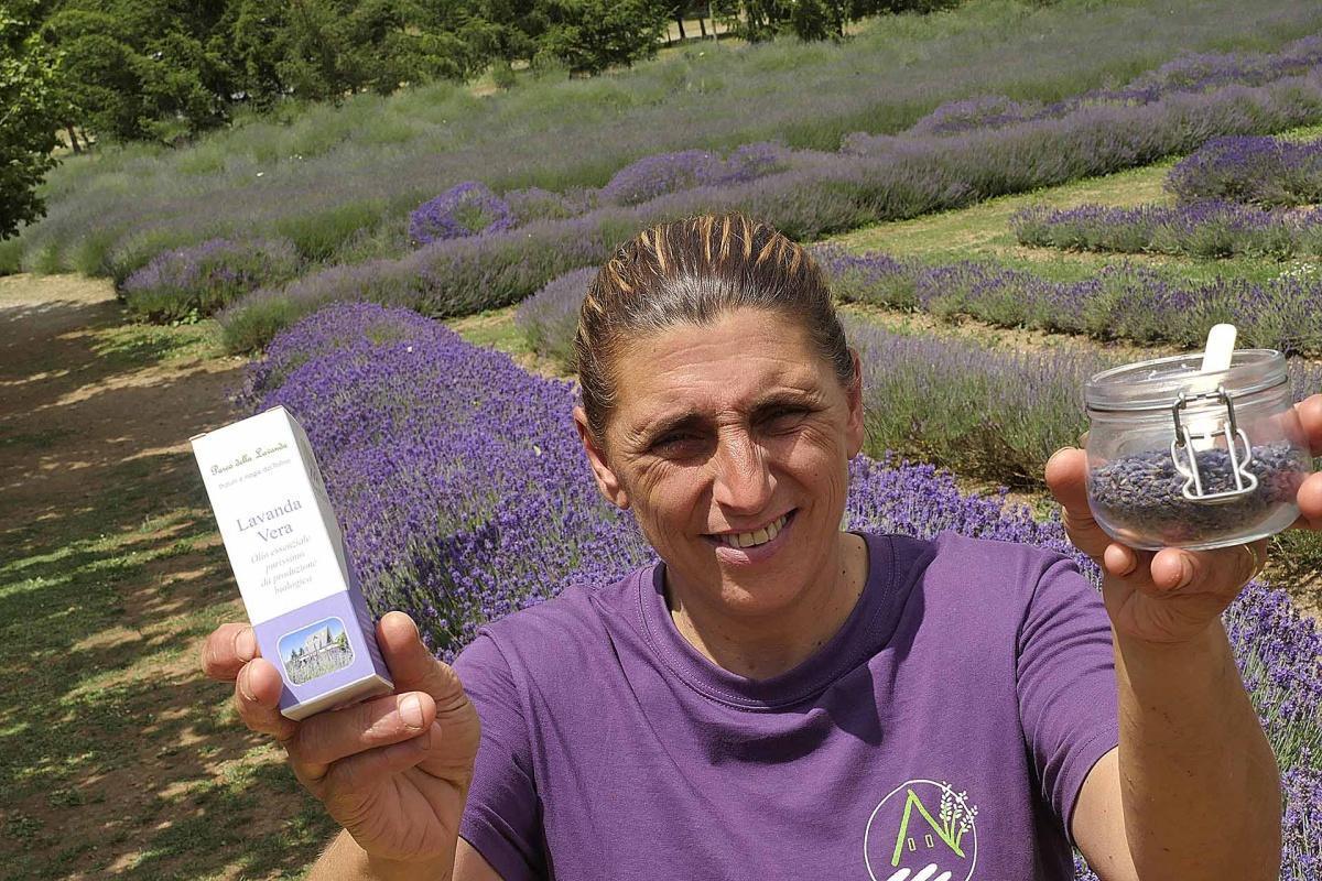 Parco della Lavanda a Morano Calabro - il viola del Pollino