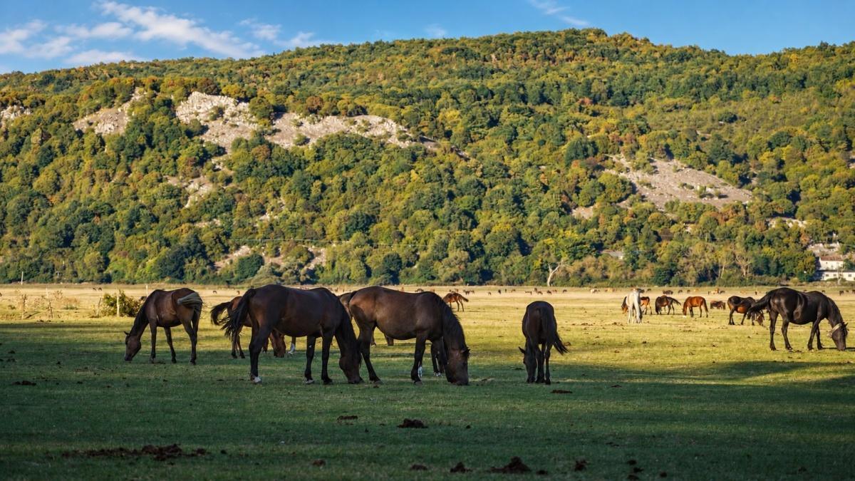 Molise, terra di passaggi: tratturi, borghi e montagne