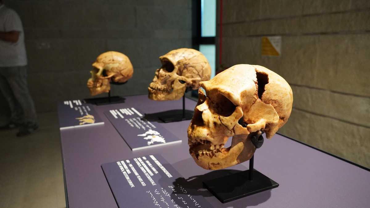 Museo Nazionale del Paleolitico di Isernia, la preistoria da vicino Museo Nazionale del Paleolitico di Isernia, la preistoria da vicino