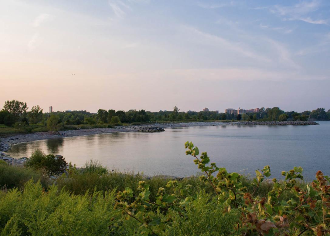 New Toronto Neighbourhood Guide