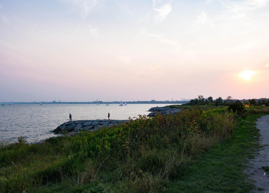New Toronto Neighbourhood Guide