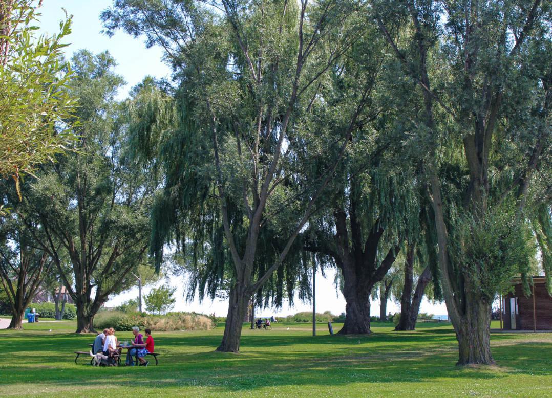 Long Branch Neighbourhood Guide