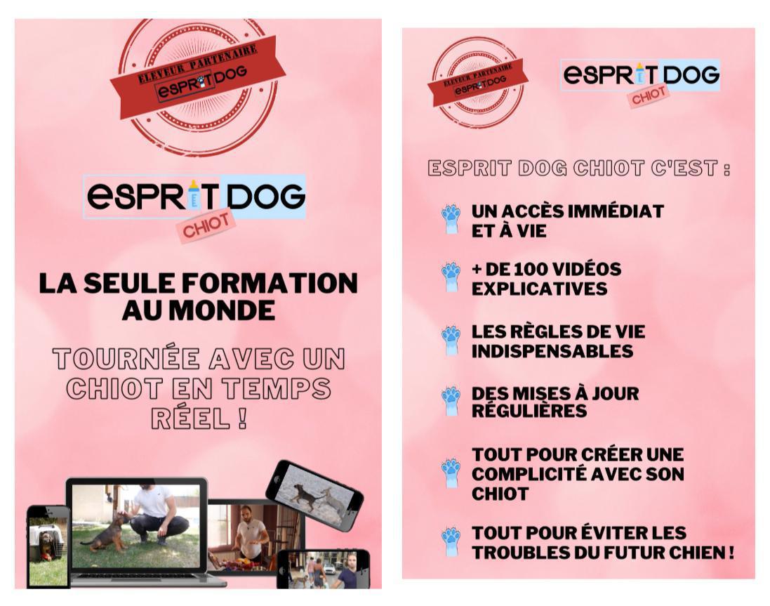 Code réduc Esprit Dog - 12€