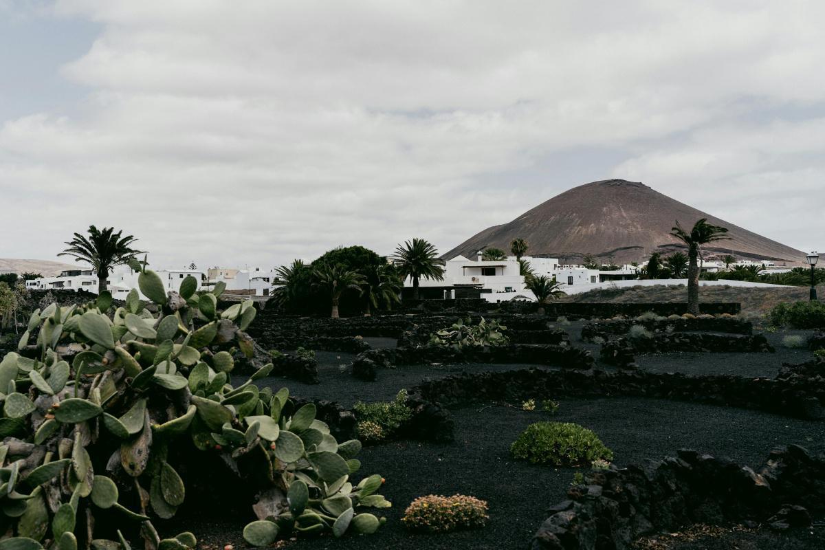 CANARIES - LANZAROTE