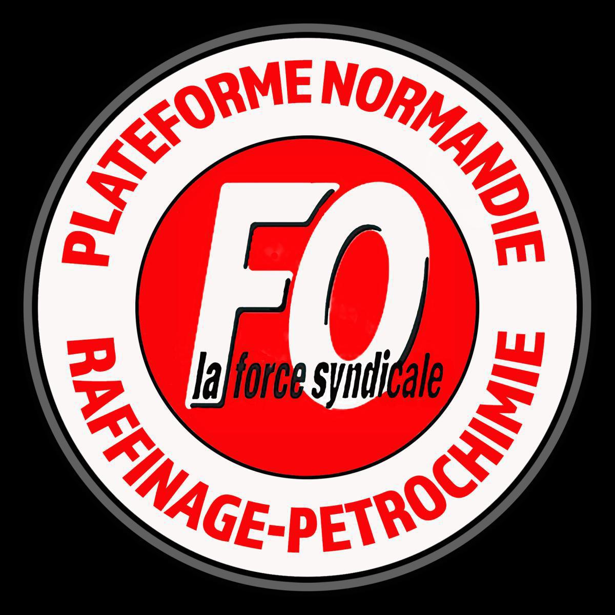 Avis des élus FO Plateforme Normandie au CSE - Projet de réorganisation du service ELP. Avis des élus FO Plateforme Normandie au CSE - Projet de réorganisation du service ELP.
