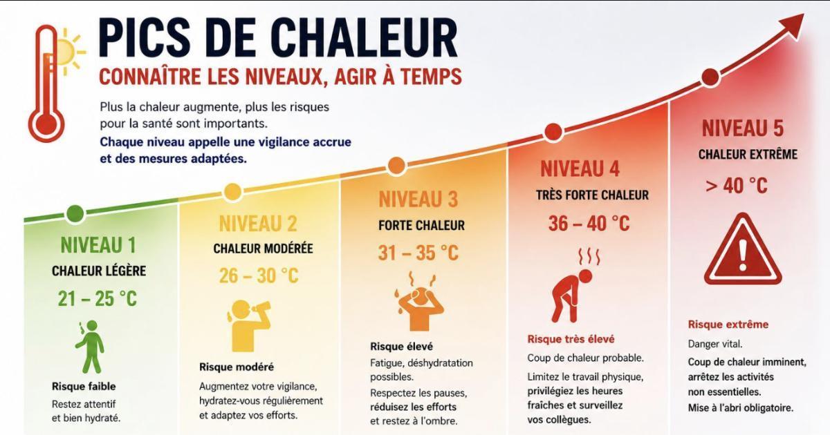 Canicule (Juillet 2026) Canicule (Juillet 2026)