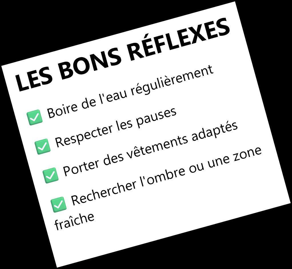 Canicule (Juillet 2026)