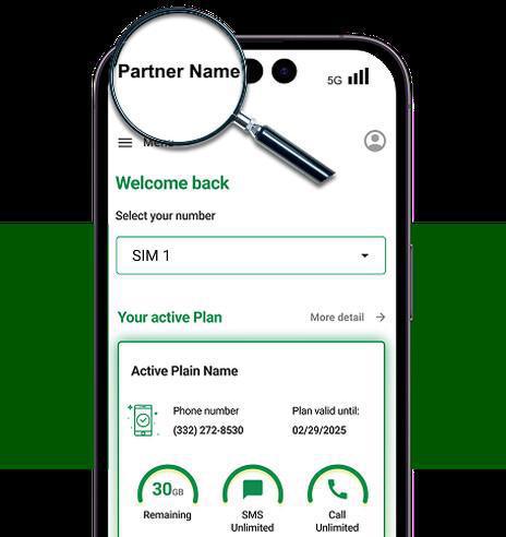 The Opportunity for Partners to Enter the U.S. Telecommunications Market through Rabona.