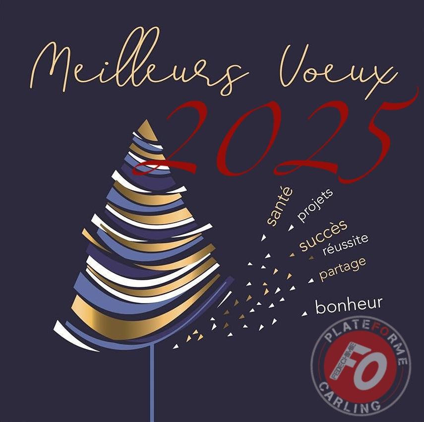Meilleurs vœux pour cette année 2025