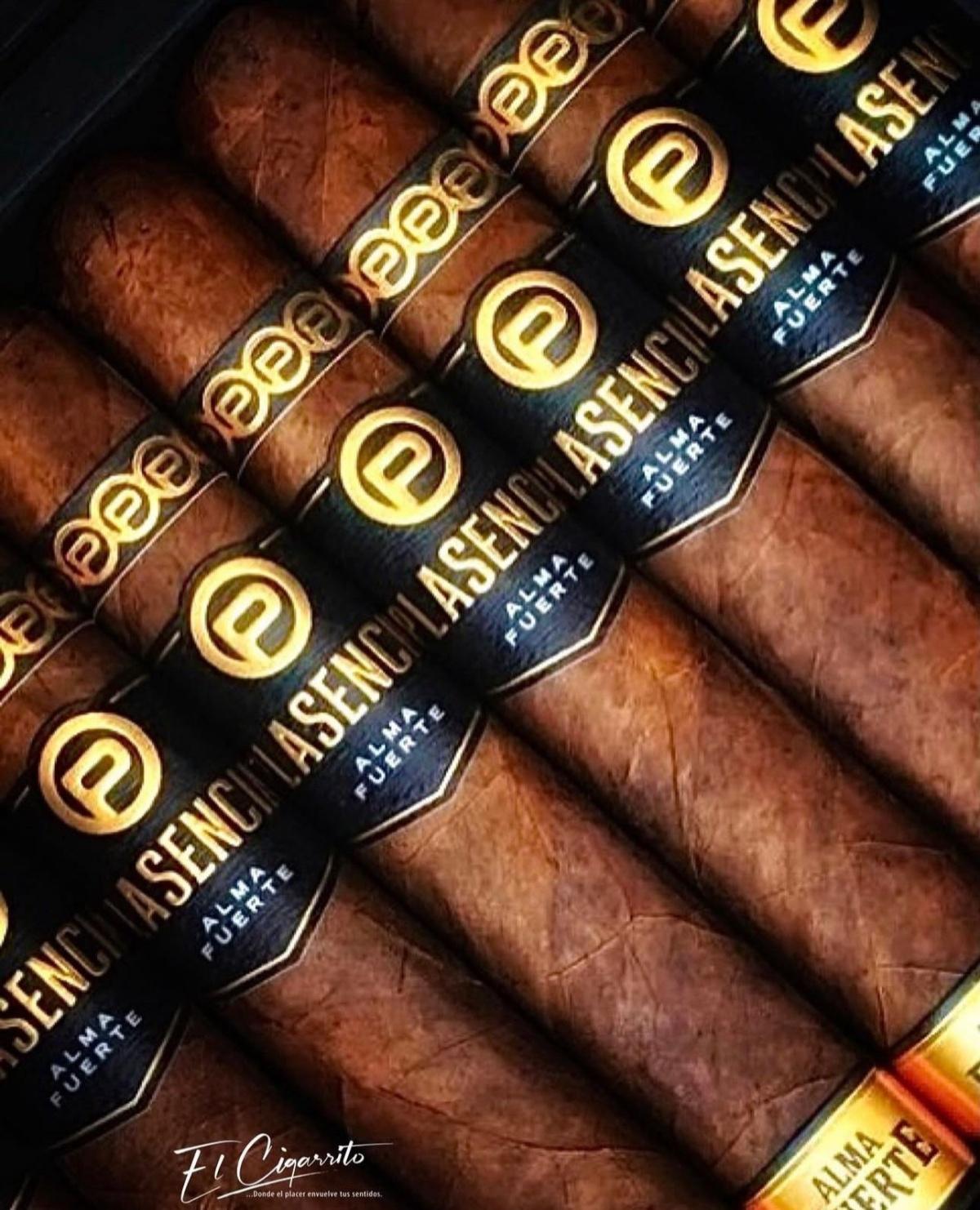 Plascencia Plascencia