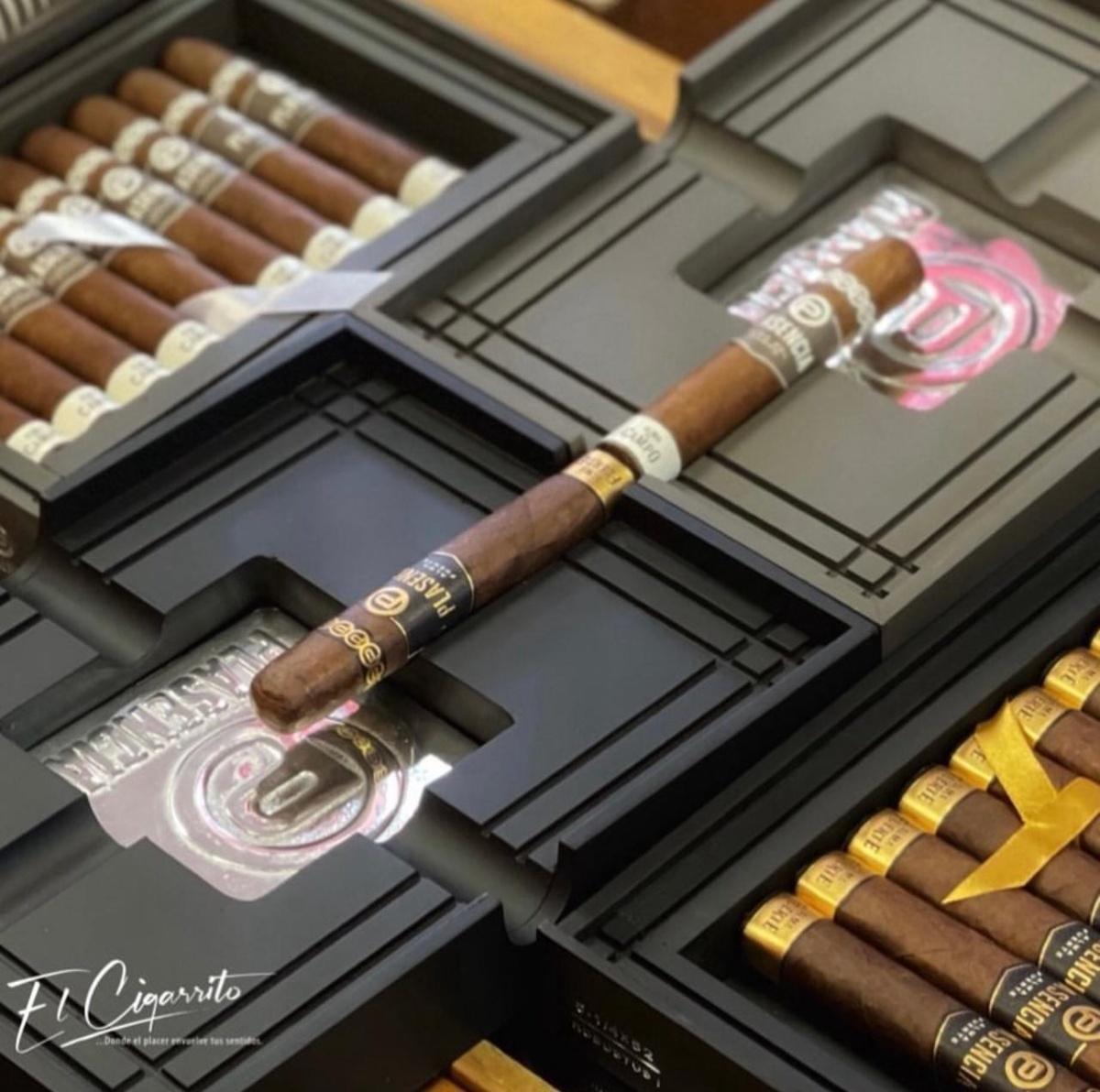 Plascencia Plascencia