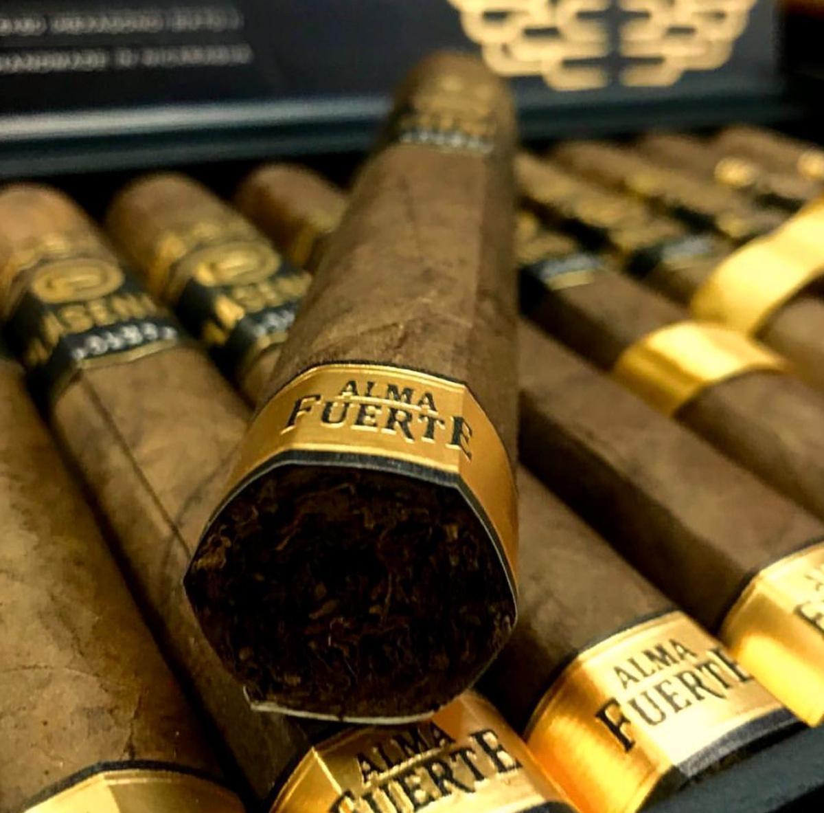 Plascencia Plascencia