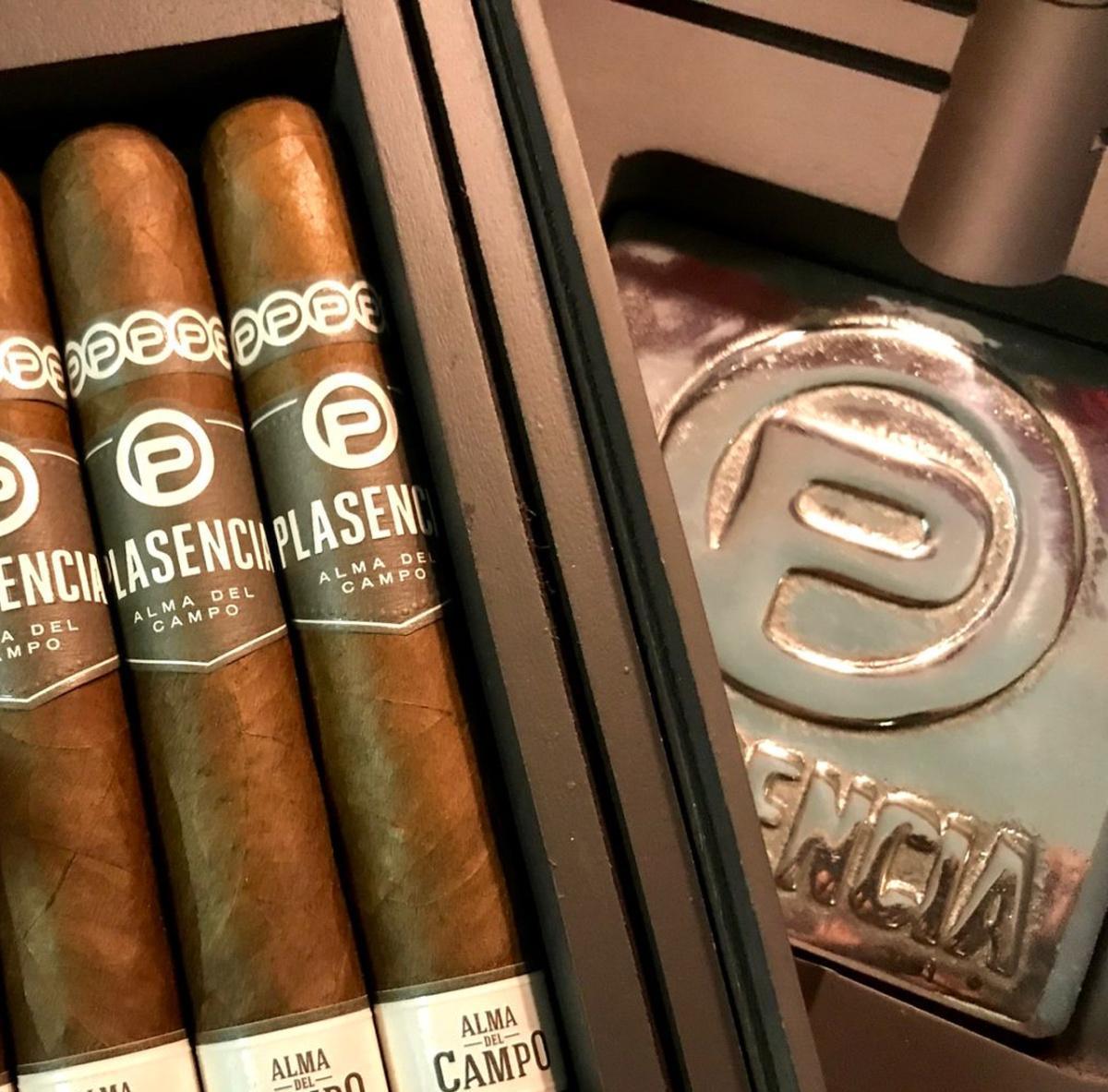 Plascencia Plascencia