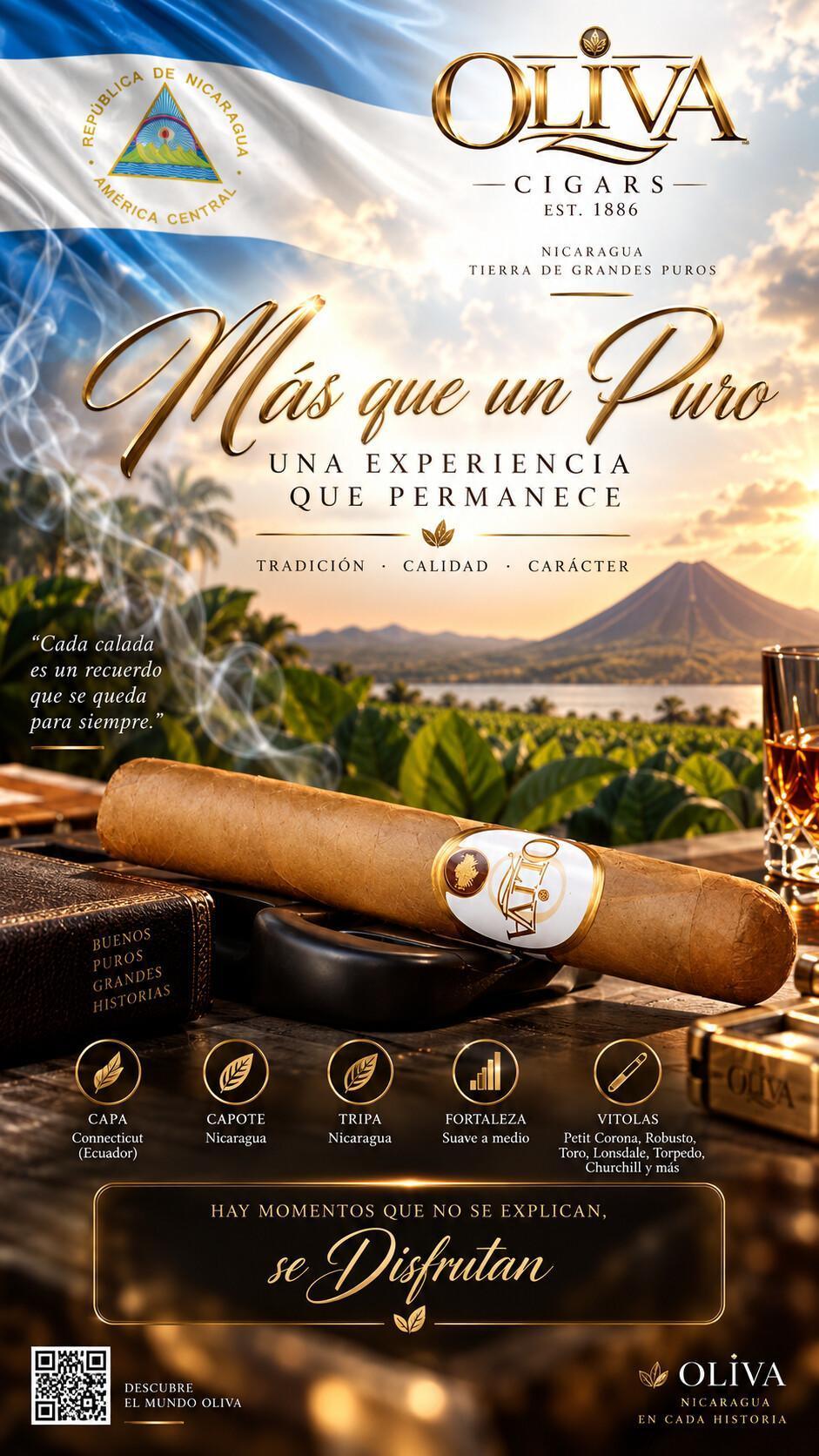 OLIVA Connecticut Reserve