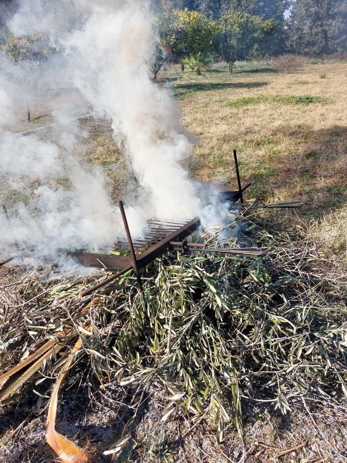 Lloguer per a calçotades