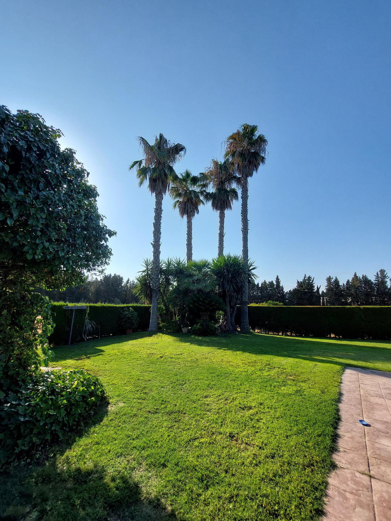 Ampli jardí al costat de la piscina