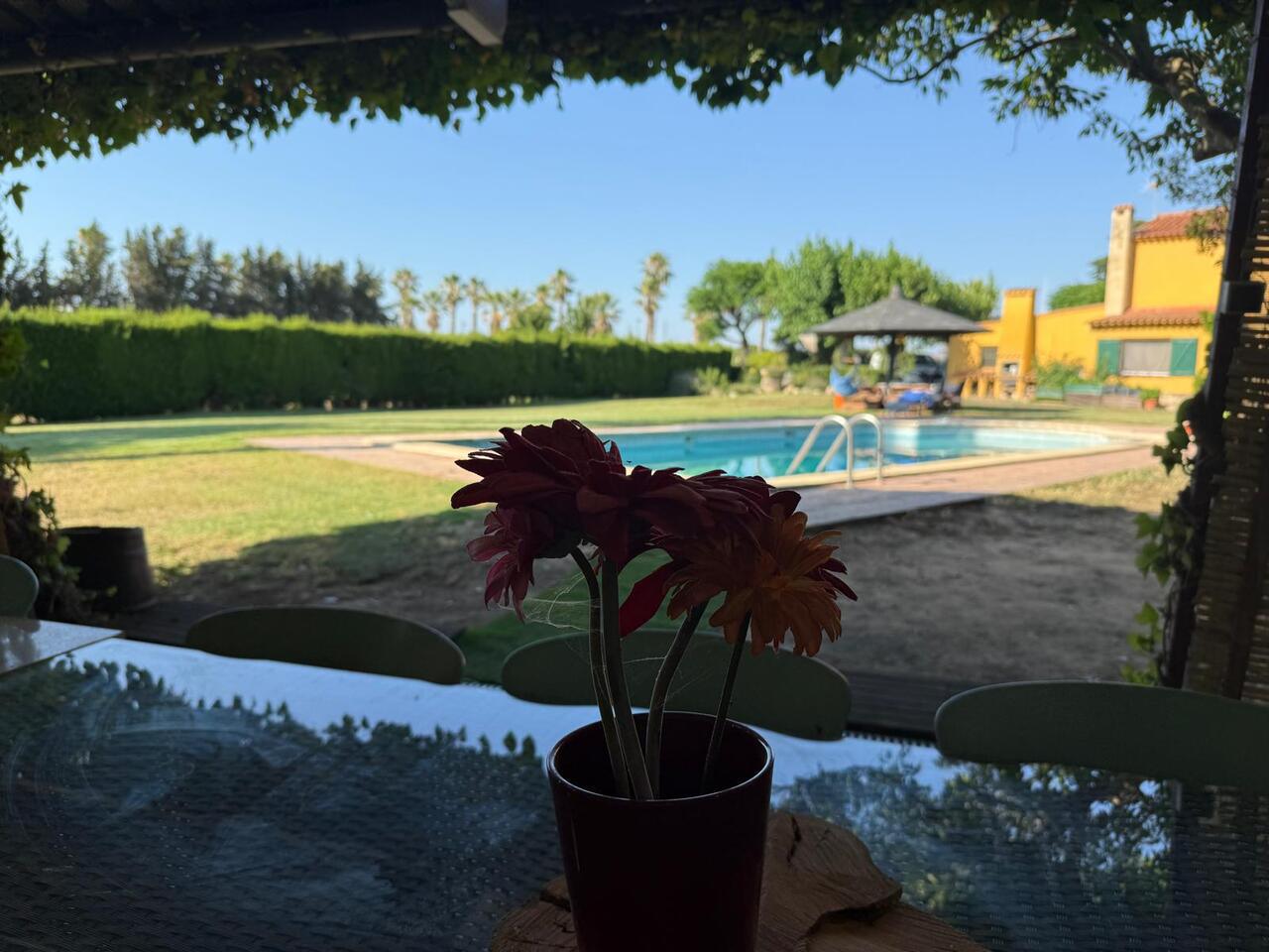 Visió directa a la piscina