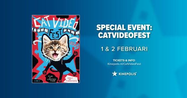 Purr-fect evenement voor kattenfans bij Kinepolis
