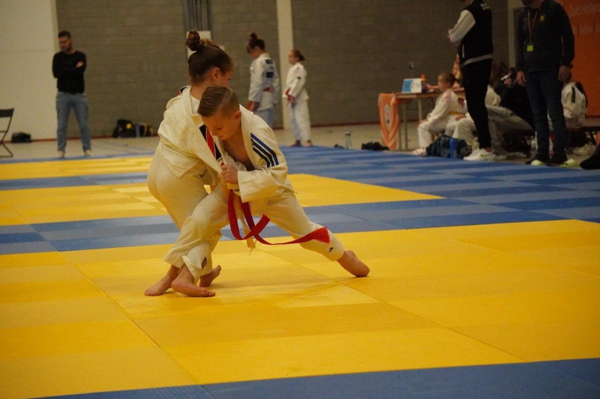 Drie stuks judogoud voor Arashi in Dordrecht