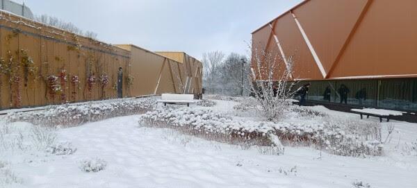 Gemeente sluit alle Bredase sportaccommodaties vanwege sneeuwval op daken