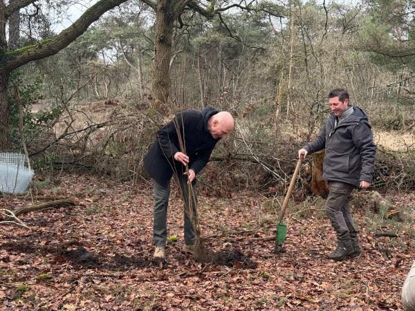 Laastste van 9.000 jonge bomen geplant op de Galderse Heide