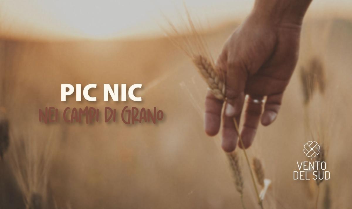 Campo di Grano 13/06