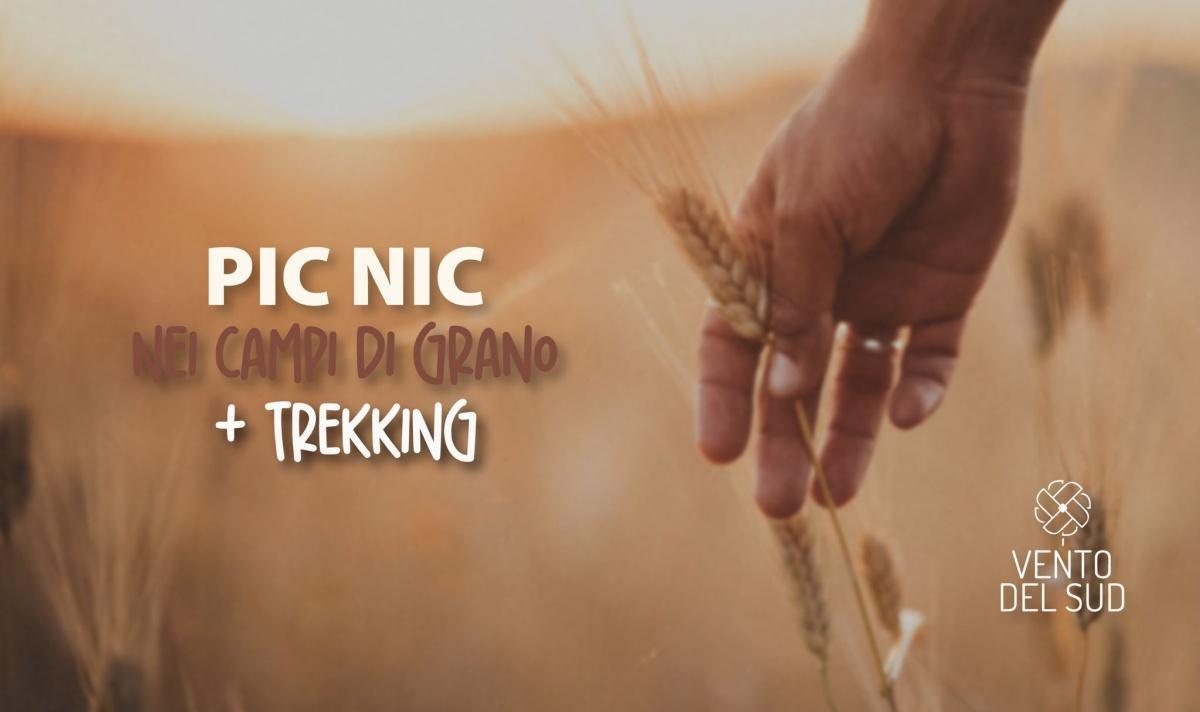 Campo di Grano 31/05