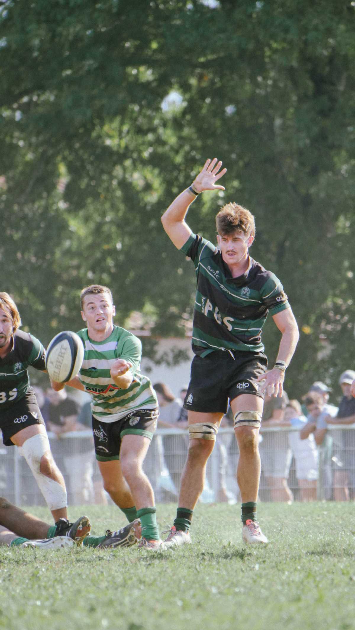 La plume du dimanche 28/09 đź’šđź–¤ La plume du dimanche 28/09 đź’šđź–¤