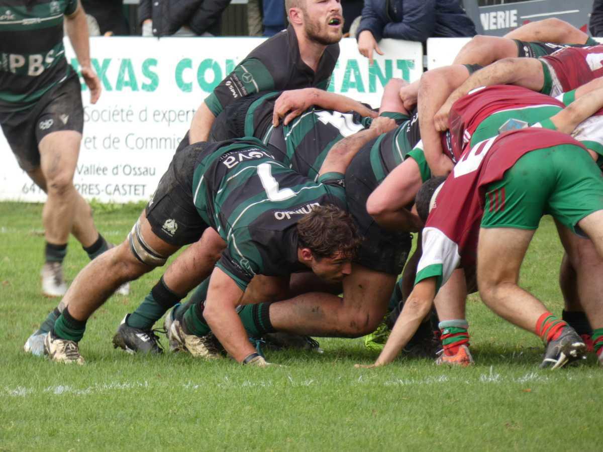 La plume du dimanche 26/10 La plume du dimanche 26/10