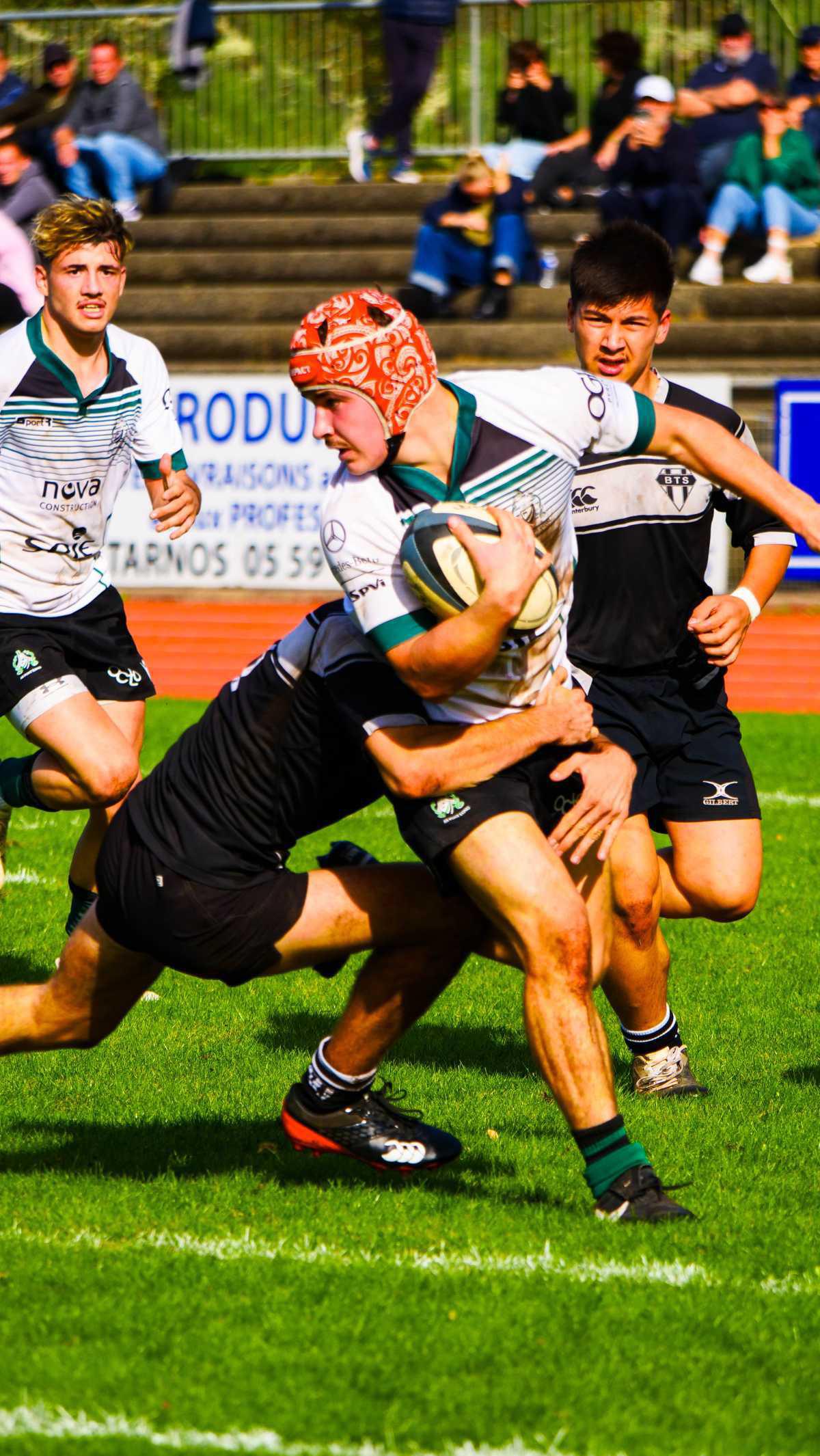 La plume du dimanche 09/11💚🖤 La plume du dimanche 09/11💚🖤