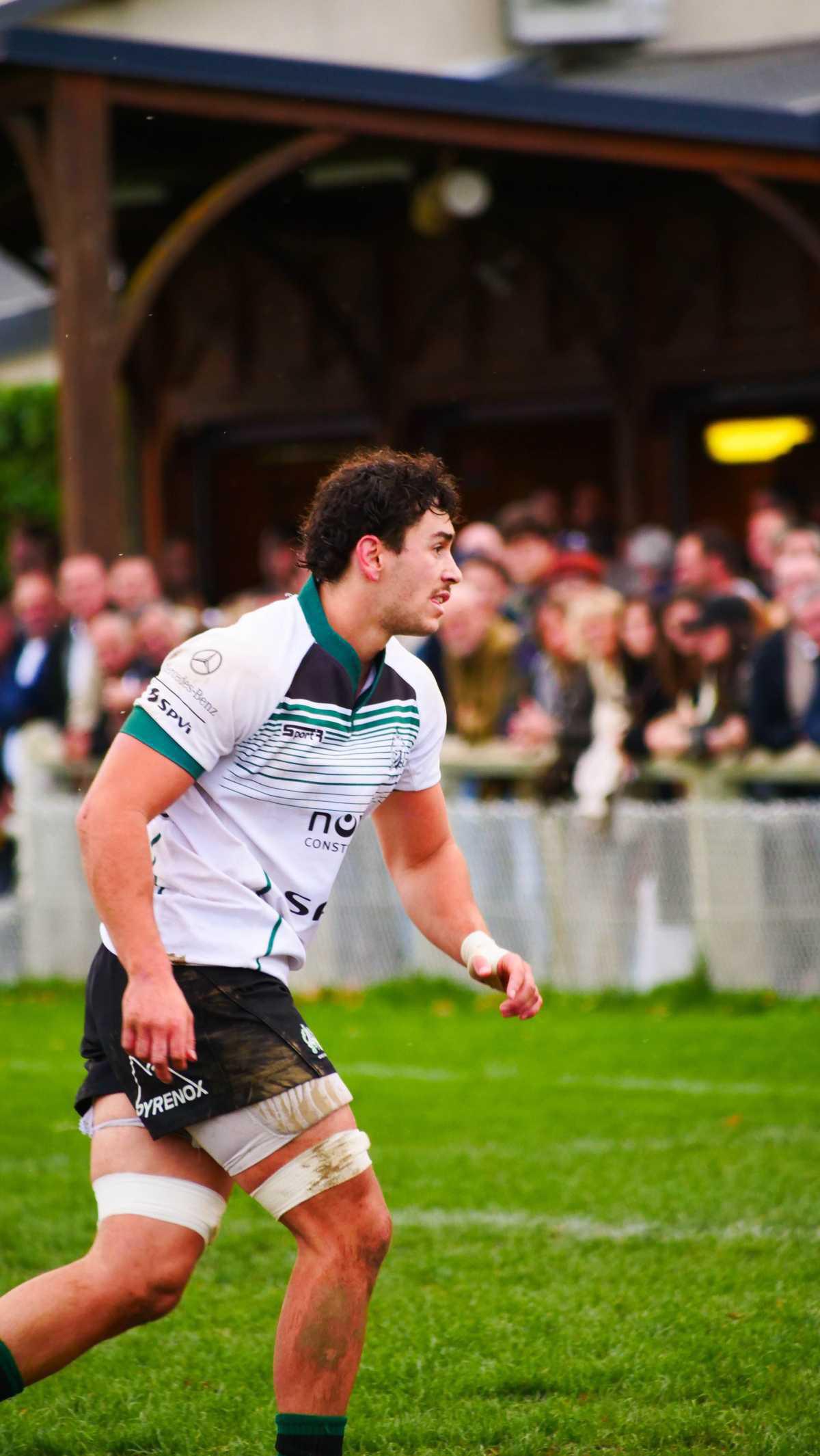 La plume du dimanche 16/11 💚🖤